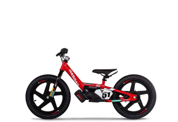 Alternative view of Gasgas stacyc 16edrive